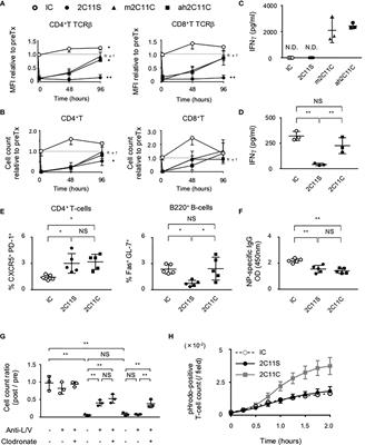 Reduction of Cell Surface T-Cell Receptor by Non-Mitogenic CD3 Antibody to Mitigate Murine Lupus